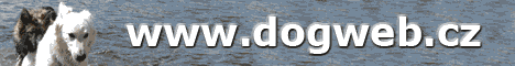 www.dogweb.cz