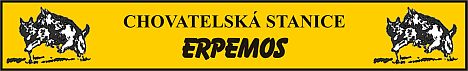 http://www.erpemos.wz.cz/