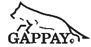 http://www.gappay.cz/