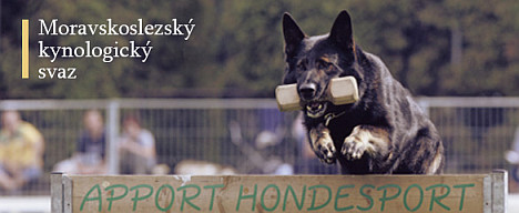 http://www.msks.cz/