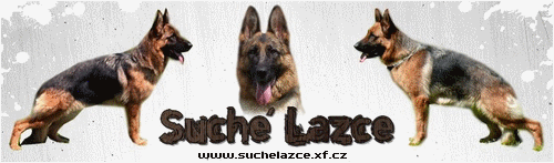 http://suchelazce.xf.cz/